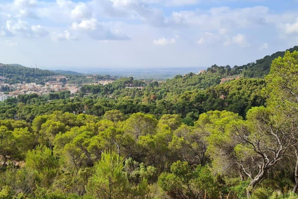 Acogedor Chalet Familiar En La Sierra Calderona Náquera Zewnętrze zdjęcie